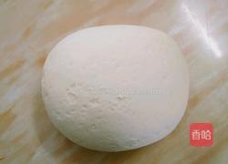 白白胖胖馒头（新手请进）的做法图解4