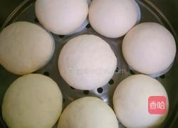 白白胖胖馒头(新手请进)的做法图解10