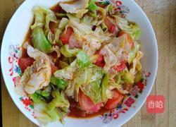 素炒手撕包菜的做法图解6