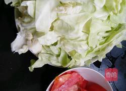 素炒手撕包菜的做法图解1
