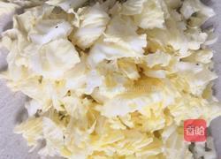 白菜辣椒豆腐干的做法图解3