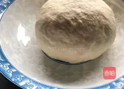 Shrimp Bacon Pineapple Pizza Recipe Illustration 2