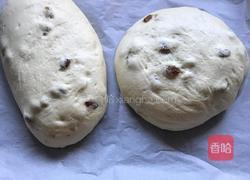 中种软欧包,这款面包口感超软,是我最喜欢的口感的做法图解10