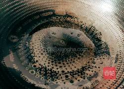 凤梨五彩炒饭的做法图解9