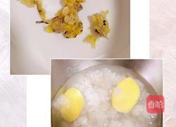 冰糖木瓜炖雪哈的做法图解1