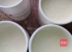 自制芒果酸奶的做法图解7