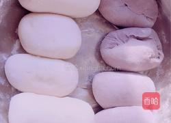 桑葚韭菜饺子的做法图解7
