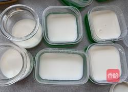 自制果冻(吉利丁片)的做法图解10