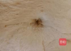 毛毛虫面包的做法图解7