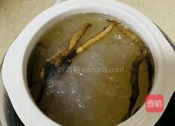 低调奢华有内涵虫草炖燕窝的做法图解3