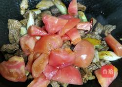 土豆西红柿炖牛肉的做法图解5