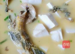 昂刺鱼豆腐汤的做法图解6
