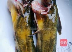 昂刺鱼豆腐汤的做法图解1