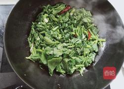 家常香炒南瓜叶的做法图解6