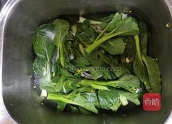 水煮菜心 的做法图解1