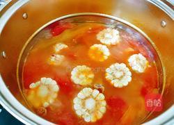 番茄玉米排骨汤的做法图解11