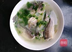 清炖鲫鱼汤的做法图解4