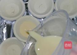 简易蛋挞快速做法的做法图解9