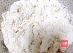 松塔的做法图解2