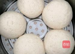 白面馒头的做法图解8