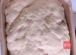 低脂土豆全麦欧包的做法图解7