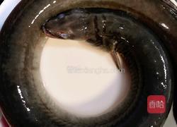 蜜枣枸杞桂圆烩鳗鱼的做法图解1