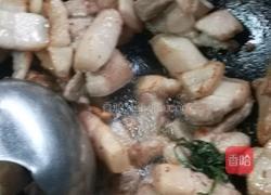超级好吃的红烧肉的做法图解4
