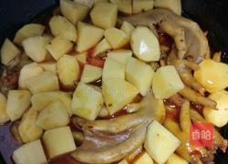 土豆烧鸡爪的做法图解5