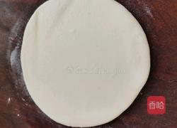 野蘑菇揪片子的做法图解3