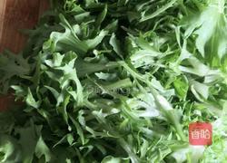 凉拌苦菊的做法图解3