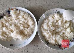 自制甜酒酿的做法图解1