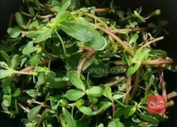 凉马齿笕的做法图解1