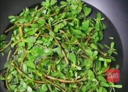 凉马齿笕的做法图解3