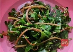 凉马齿笕的做法图解5