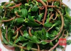 凉马齿笕的做法图解7