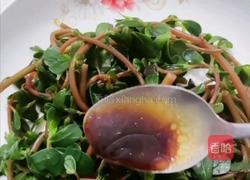 凉马齿笕的做法图解11