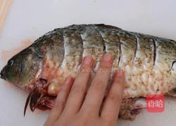 独家红烧鲫鱼的做法图解1