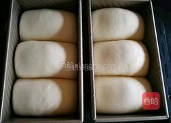 黑加仑牛奶吐司的做法图解12