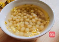 糖水鸡头米的做法图解7