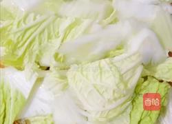 白菜炒粉条的做法图解3