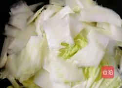 白菜炒粉条的做法图解6