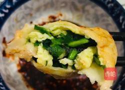 韭菜鸡蛋饺子的做法图解8