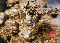 豆腐乳的做法图解6