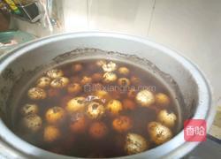 五香鹌鹑蛋的做法图解3