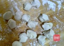 酸汤水饺的做法图解3