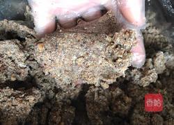 核桃杂粮酥的做法图解5