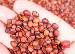 让助眠丸拯救失眠多梦入睡困难睡眠浅的你的做法图解3