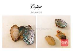 一人食|鲍鱼虫草花炖鸡汤的做法图解3