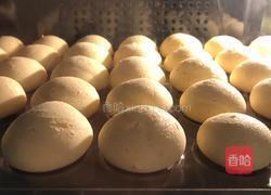 一次成功的恐龙蛋的做法图解11