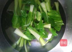 蒜蓉油菜的做法图解3